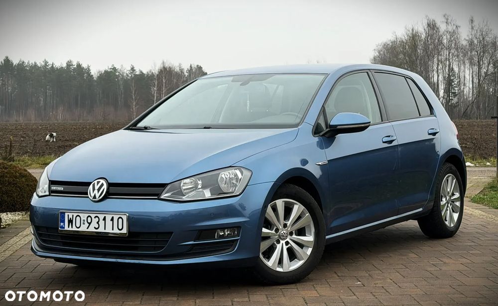Volkswagen Golf 1.6 TDI BlueMotion Technology Cup - 2