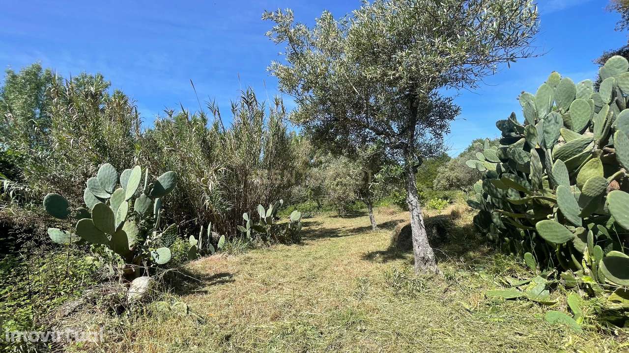 Terreno rústico | S. Miguel d'Acha, Idanha-a-Nova - Grande imagem: 3/18