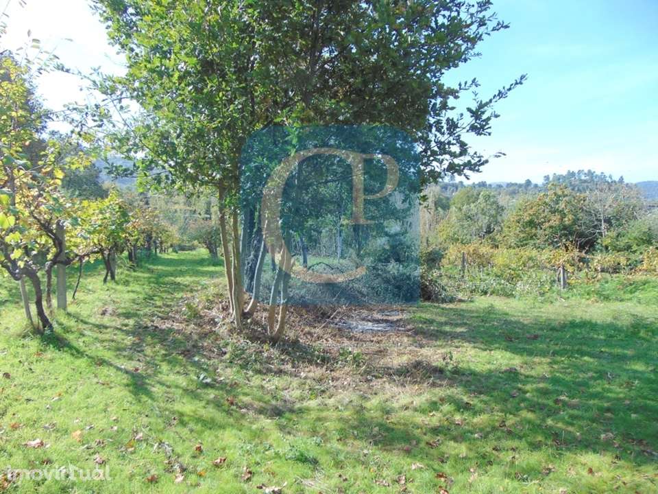 Propriedade em Cinfães do Douro para restauro, Viseu - Grande imagem: 2/17