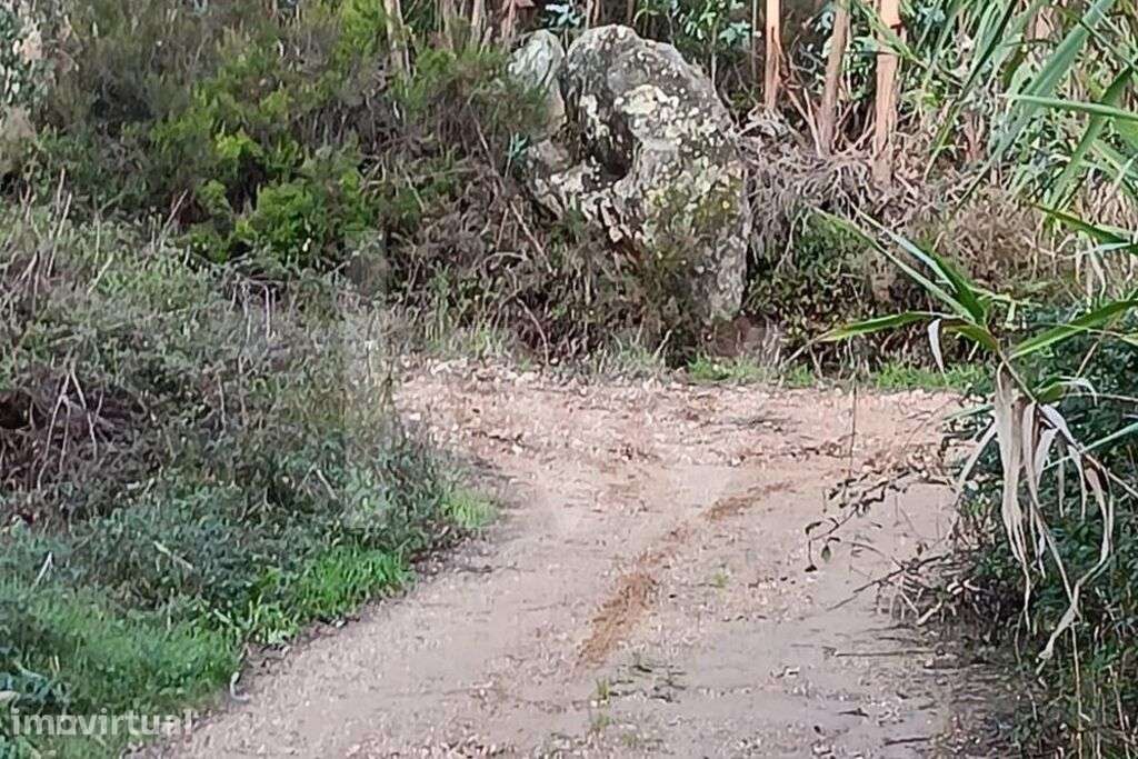 Venda de terreno rústico com 1.062m2 em Alcainça, Mafra - Grande imagem: 3/23