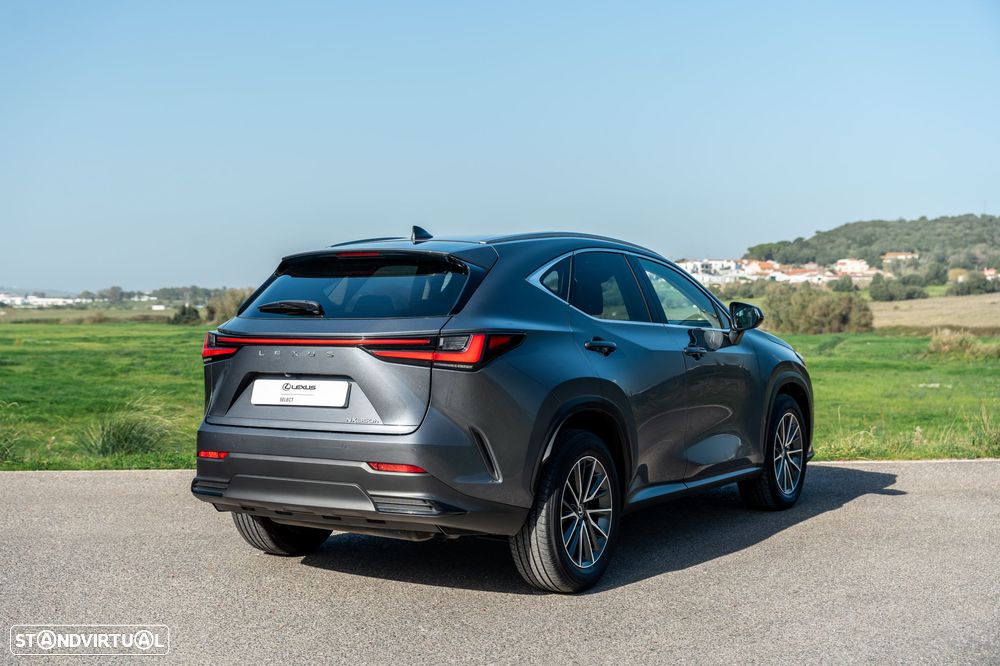 Lexus NX 350h Executive - 25