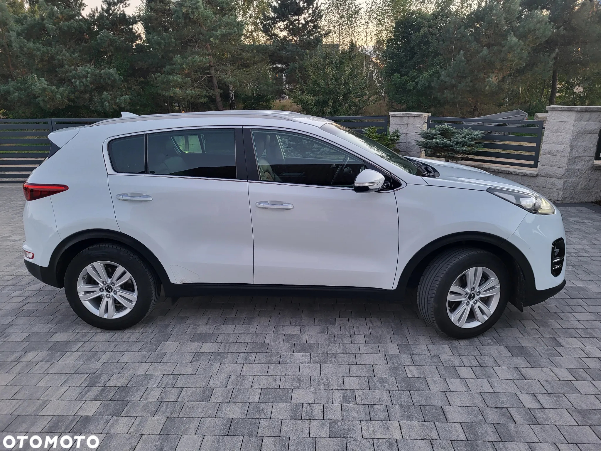 Kia Sportage 1.6 GDI Black Edition 2WD - 4