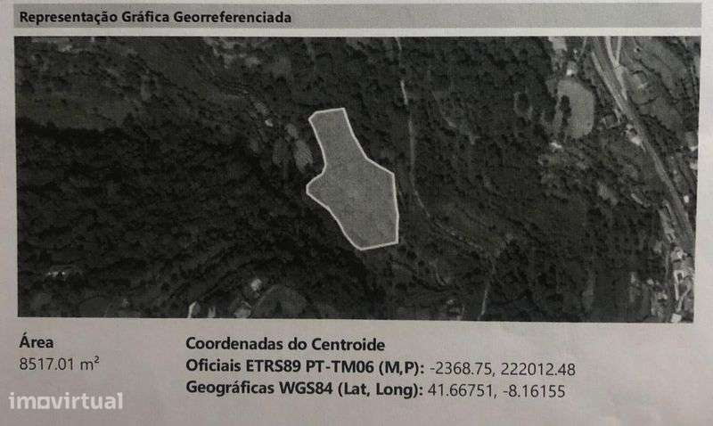Quinta de Cabaçal - Grande imagem: 3/3