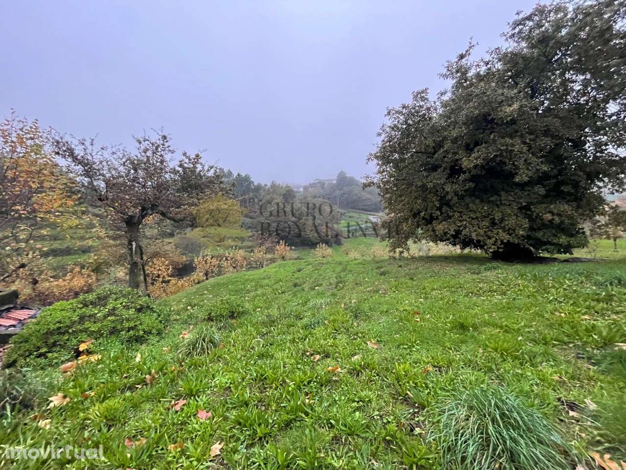 Quinta  Ribas Celorico de Basto + Pinhal - Oportunidade Turismo Rural - Grande imagem: 4/9