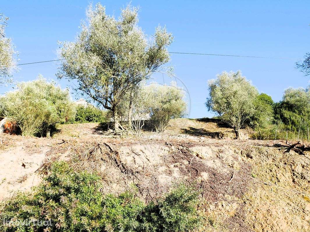 Terreno  para venda - Grande imagem: 3/14