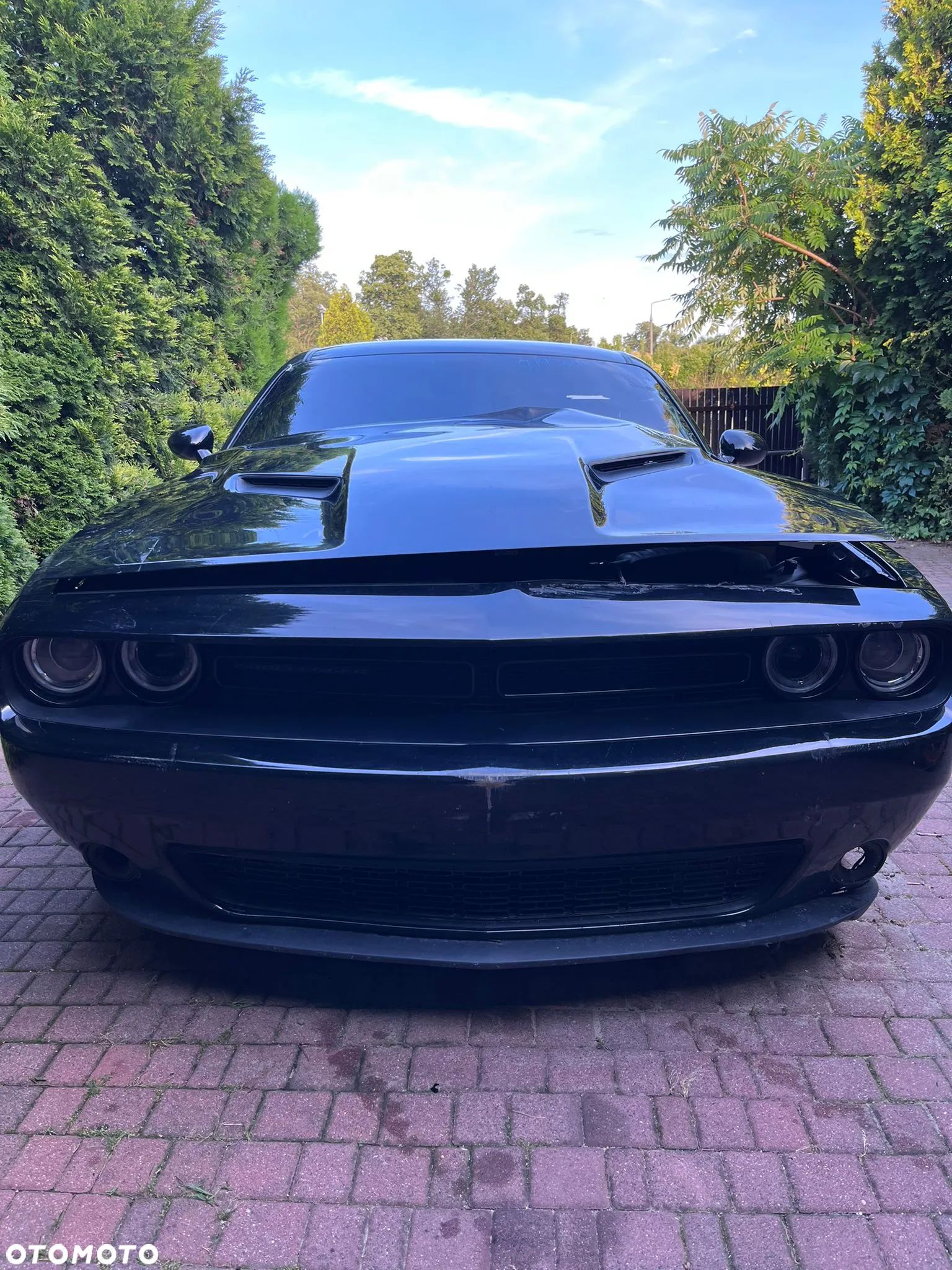Dodge Challenger 3.6 SXT Plus - 1