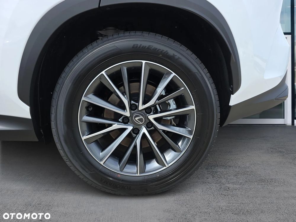 Lexus NX - 20