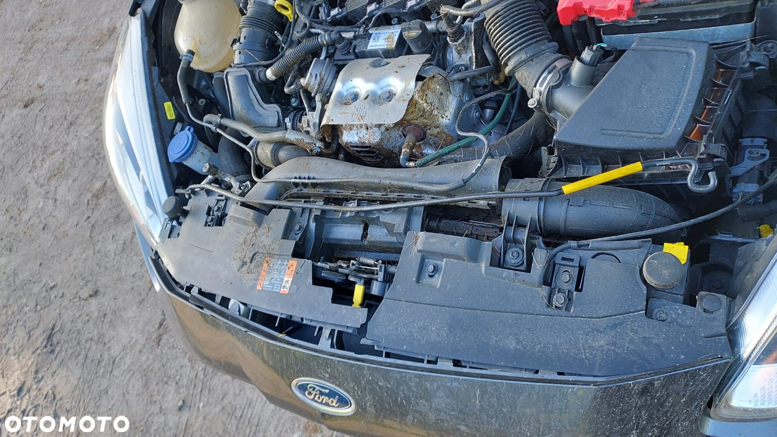 Ford Fiesta - 12