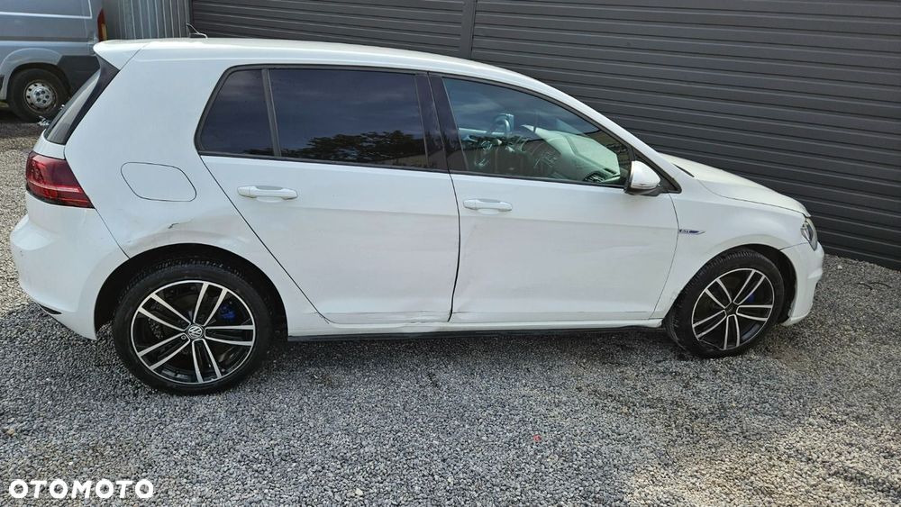 Volkswagen Golf - 24