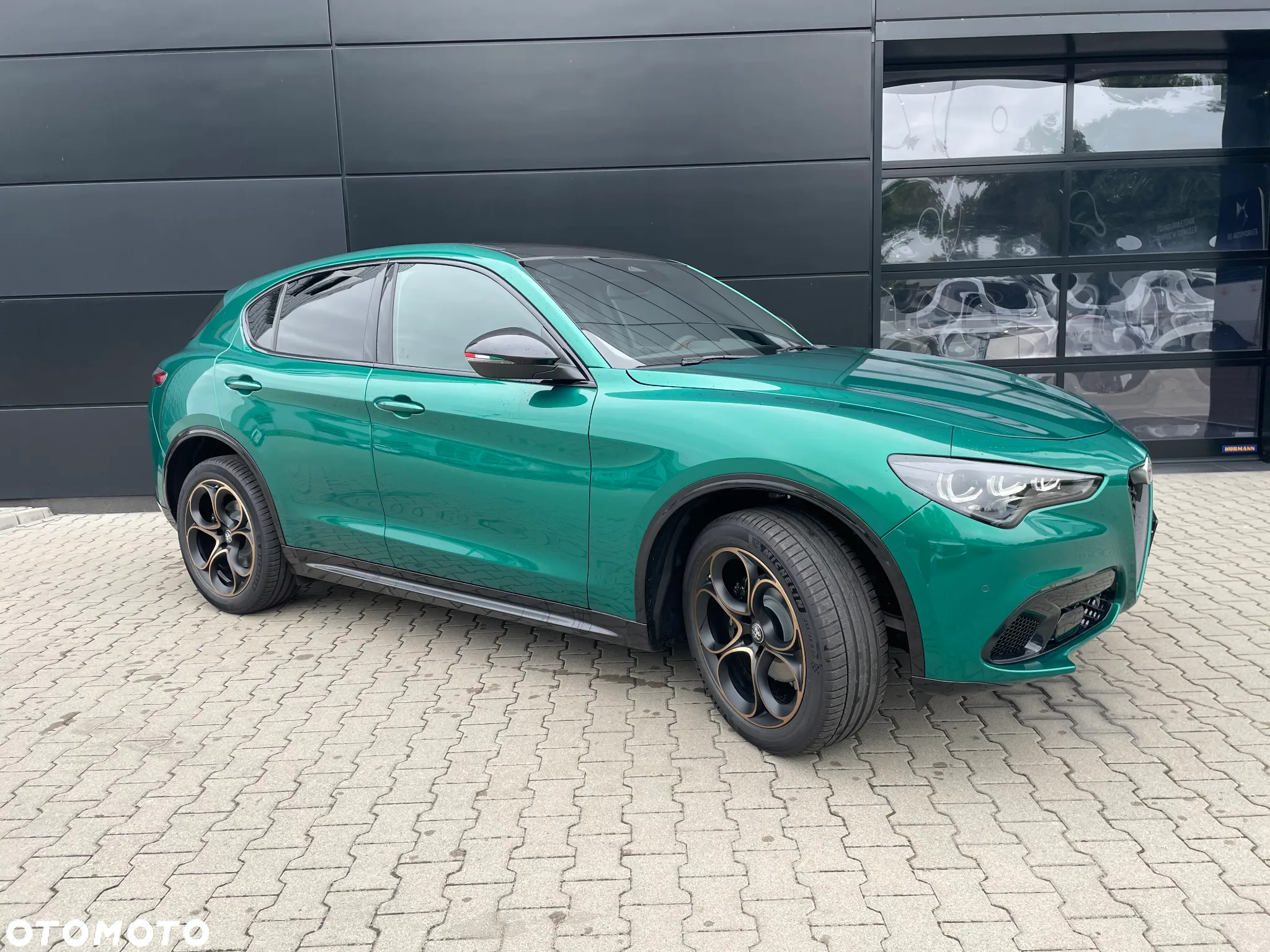 Alfa Romeo Stelvio 2.0 Turbo Intensa Q4 - 4