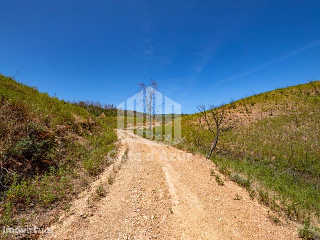 Terreno com 11 hectares - Odemira - Grande imagem: 4/26