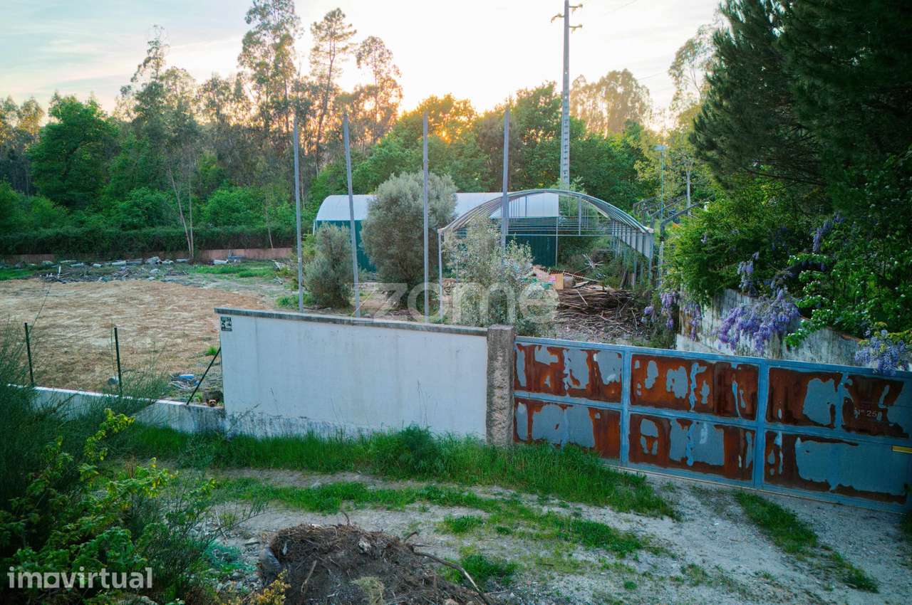 Terreno agrícola em Fragoso - Grande imagem: 4/15