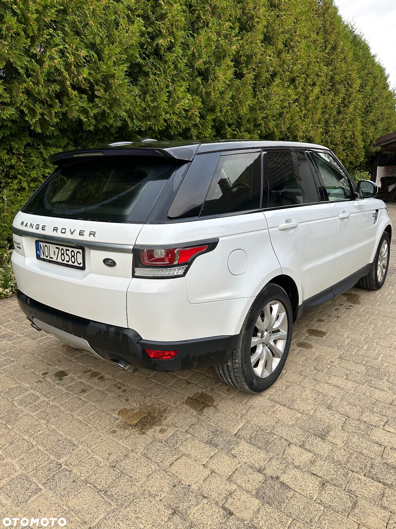 Land Rover Range Rover Sport S 3.0 TD V6 HSE - 6