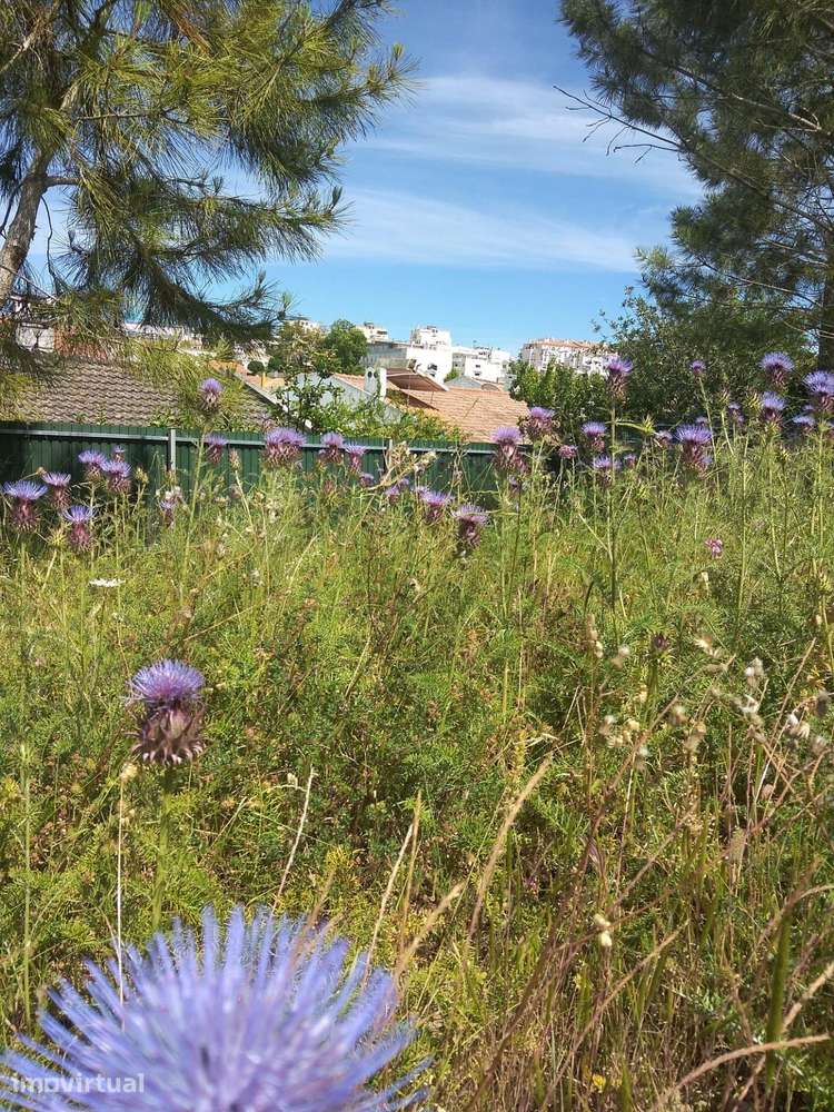 Excelente Lote de terreno com uma área de 594 m e uma área de implanta - Grande imagem: 2/16