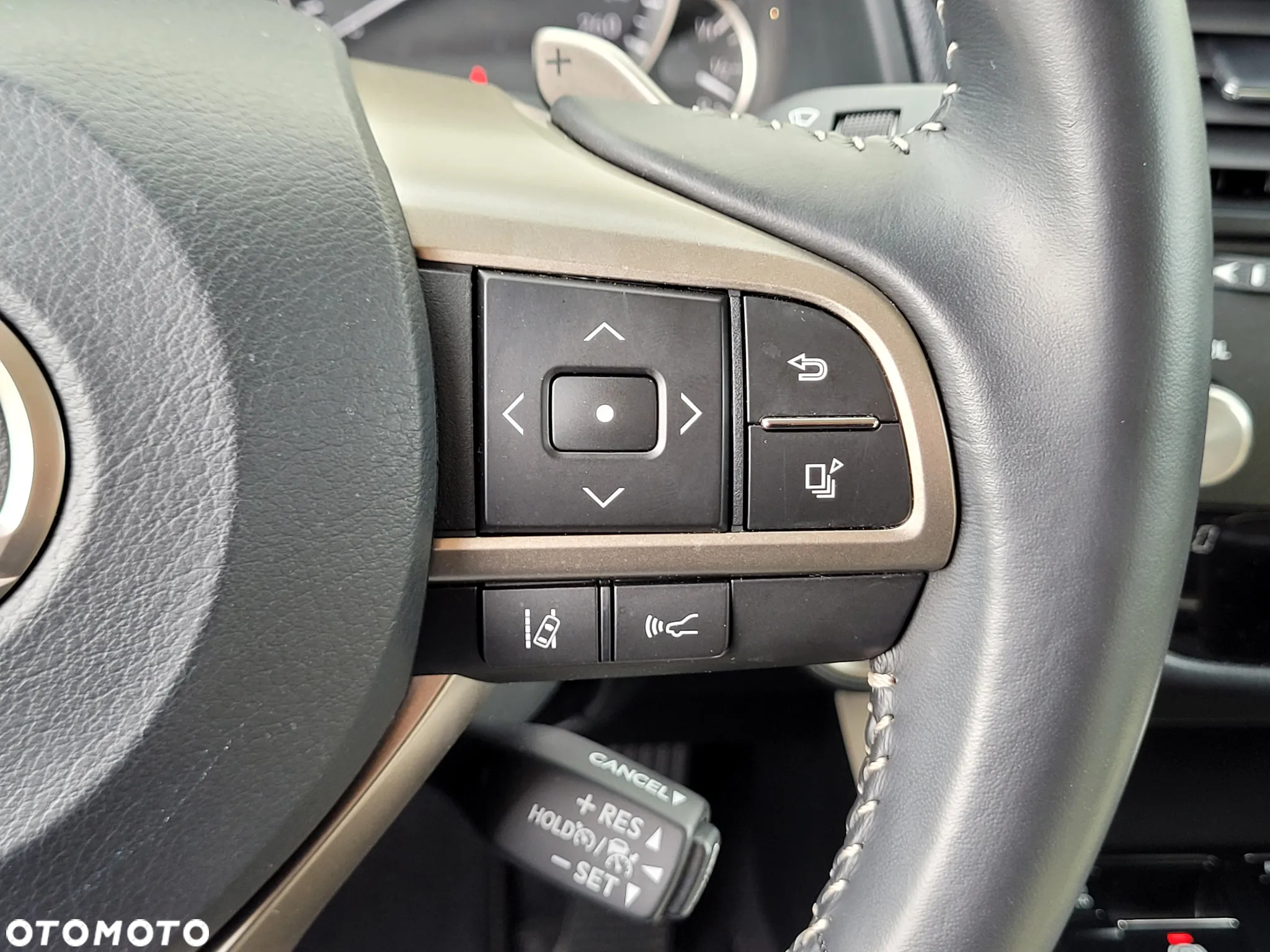 Lexus RX 300 Prestige - 23