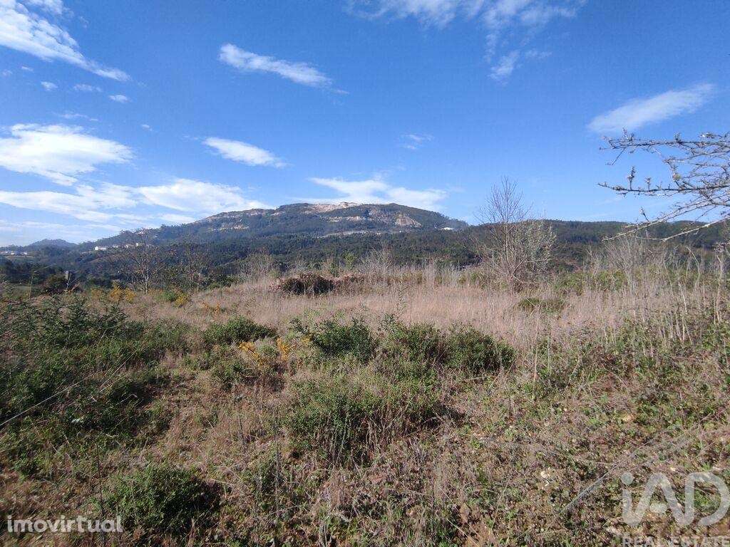 Terreno em Bárrio e Cepões de 66425,00 m2 - Grande imagem: 2/30