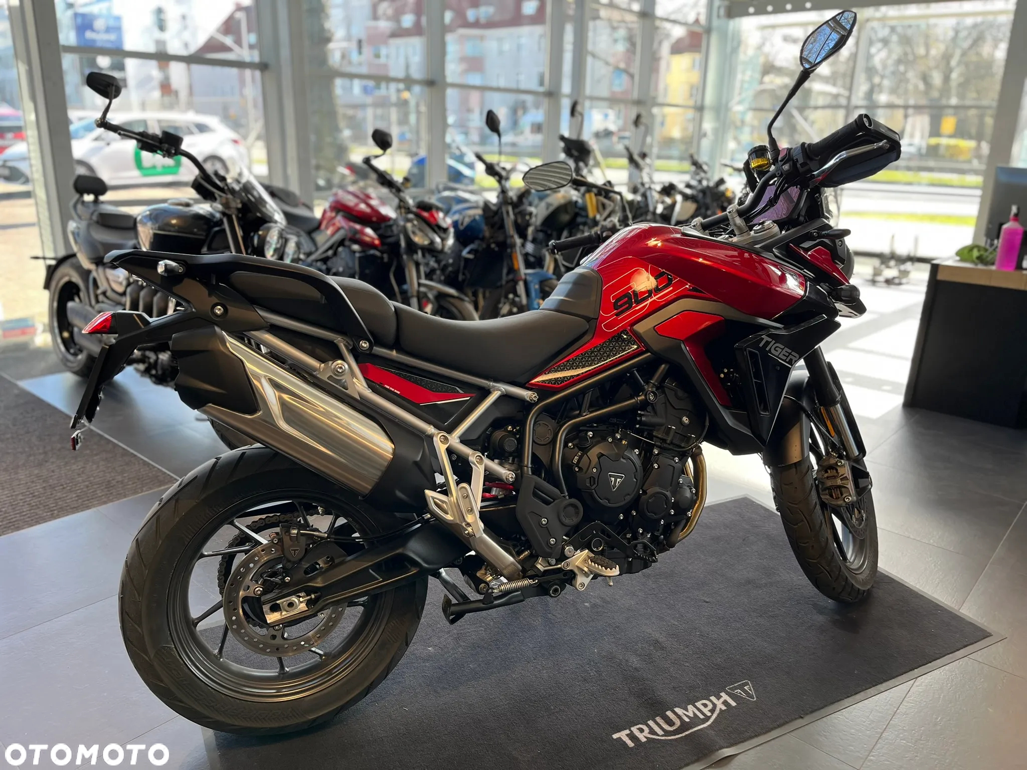 Triumph Tiger - 4