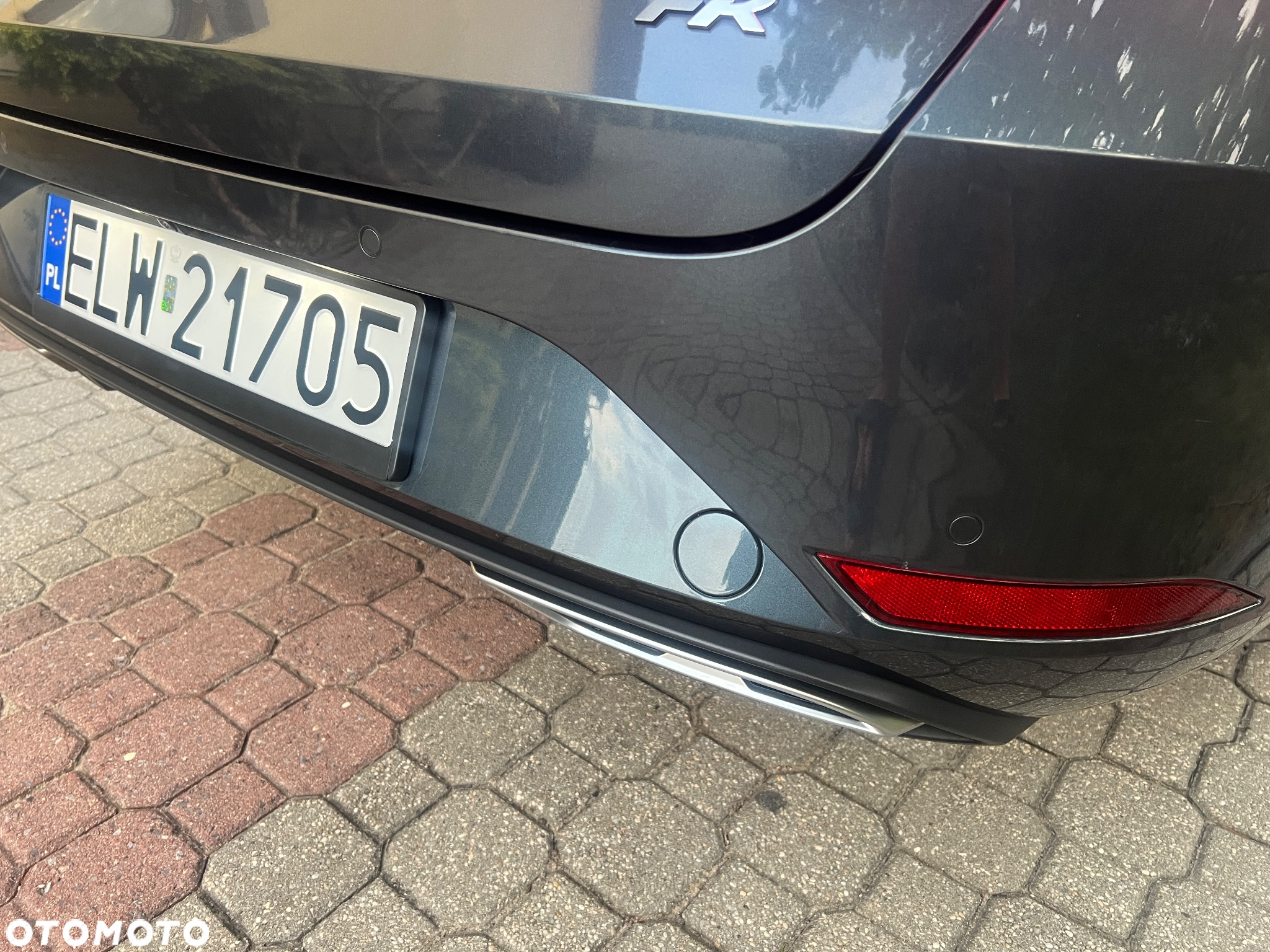 Seat Leon 1.5 EcoTSI Evo FR Black S&S DSG - 29