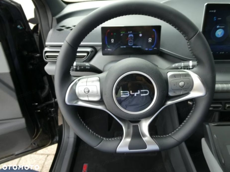 BYD Dolphin Surf - 11