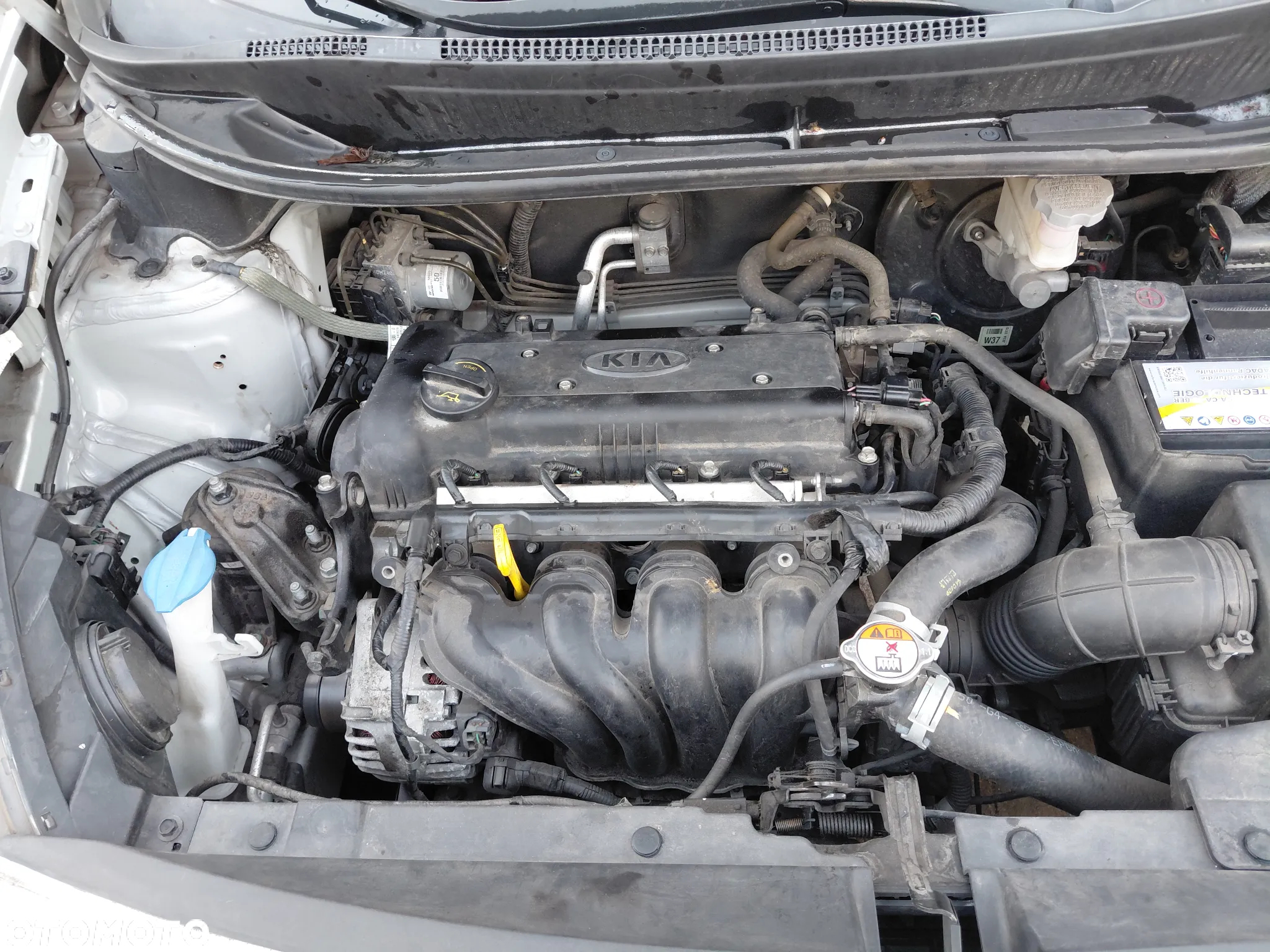 Kia Rio 1.4 Business Line - 21