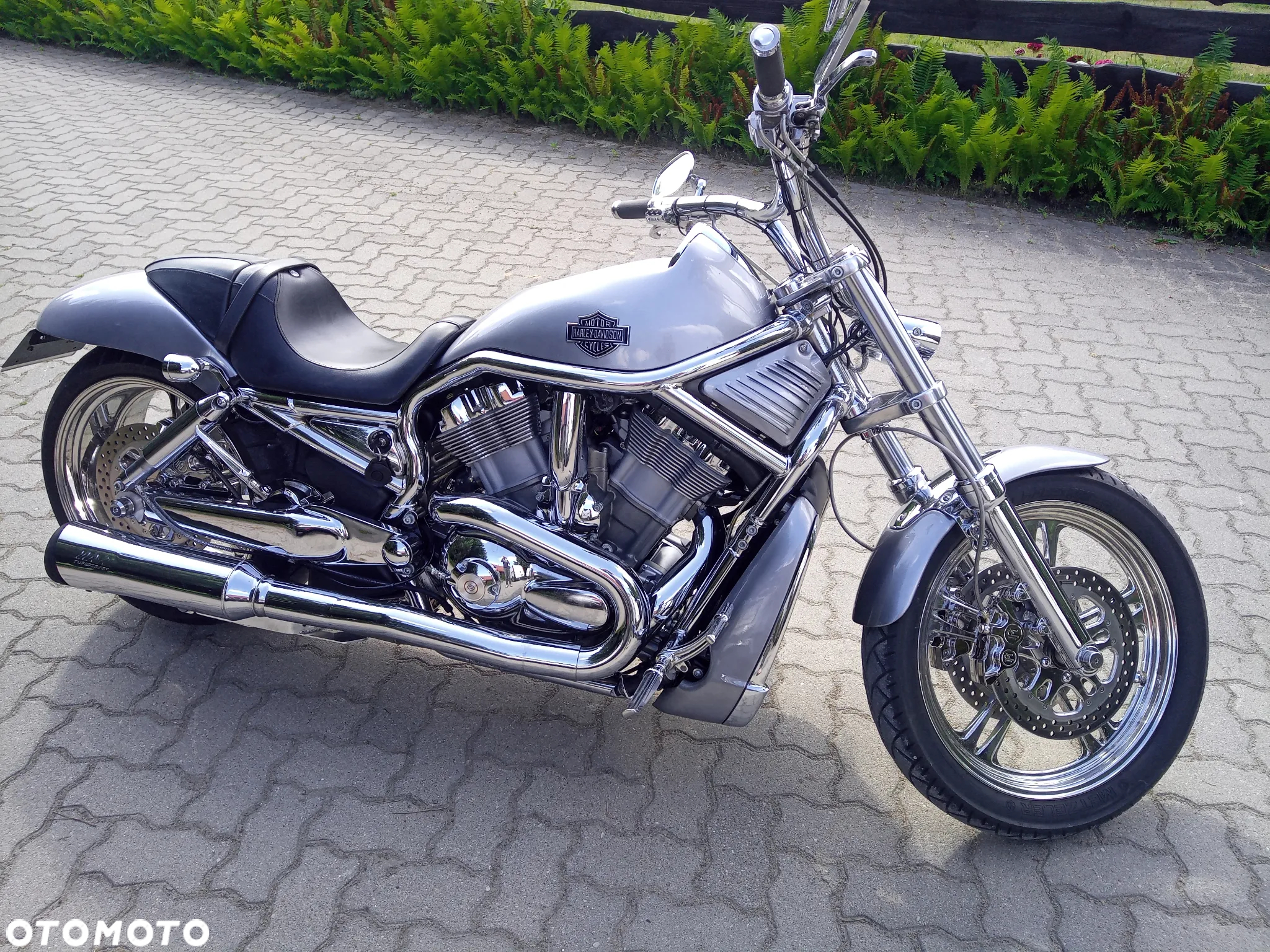 Harley-Davidson V-Rod Muscle - 3