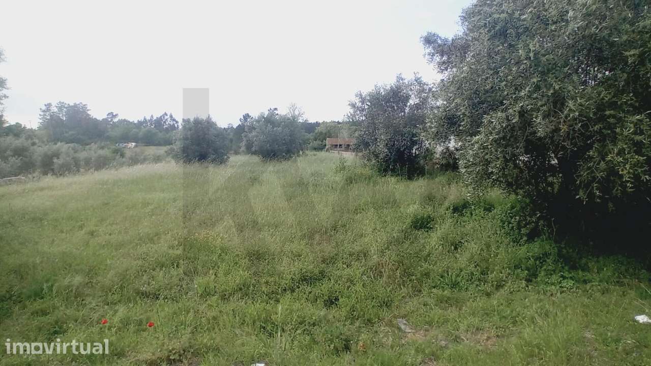 Terreno Rústico com Potencial de Construção – Venda Nova, Zona Cent - Grande imagem: 2/12