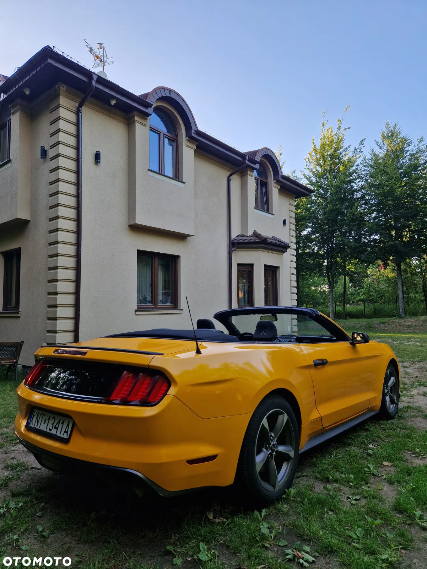 Ford Mustang 3.7 V6 - 12