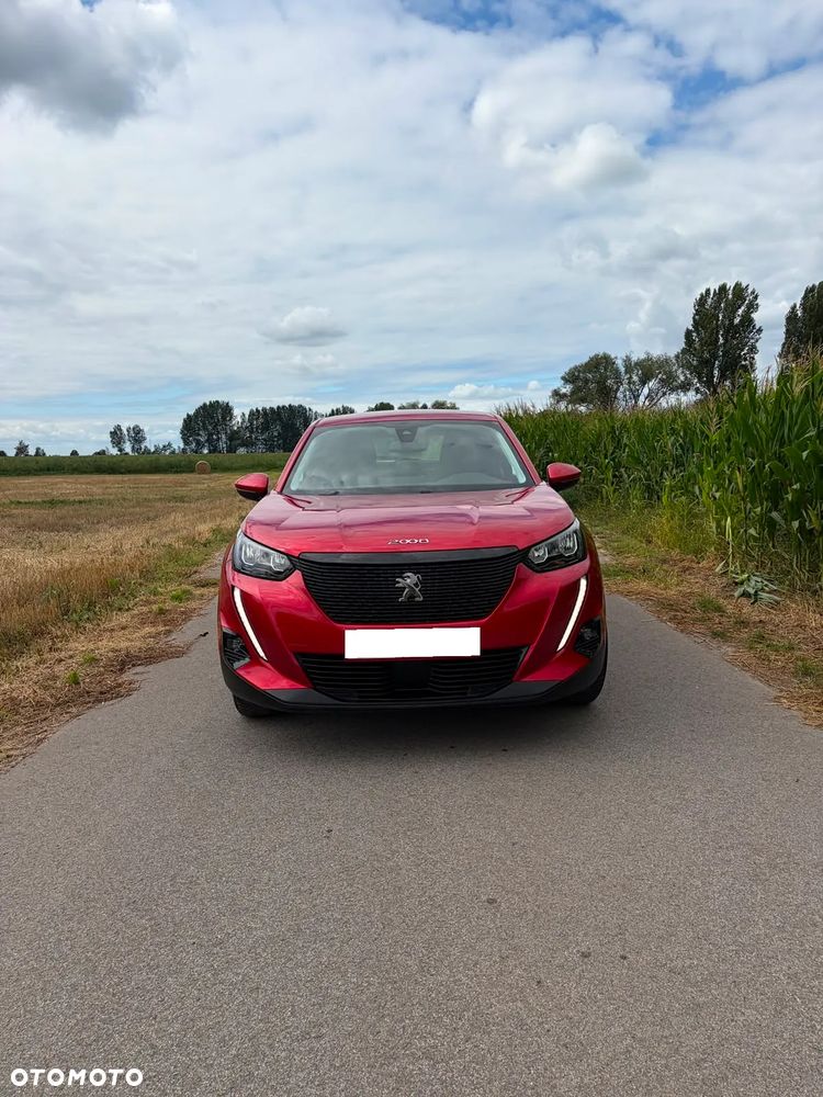 Peugeot 2008 PureTech 100 Active - 2