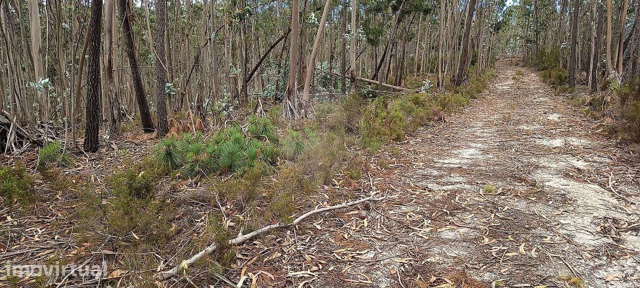 Terreno  para venda - Grande imagem: 2/3