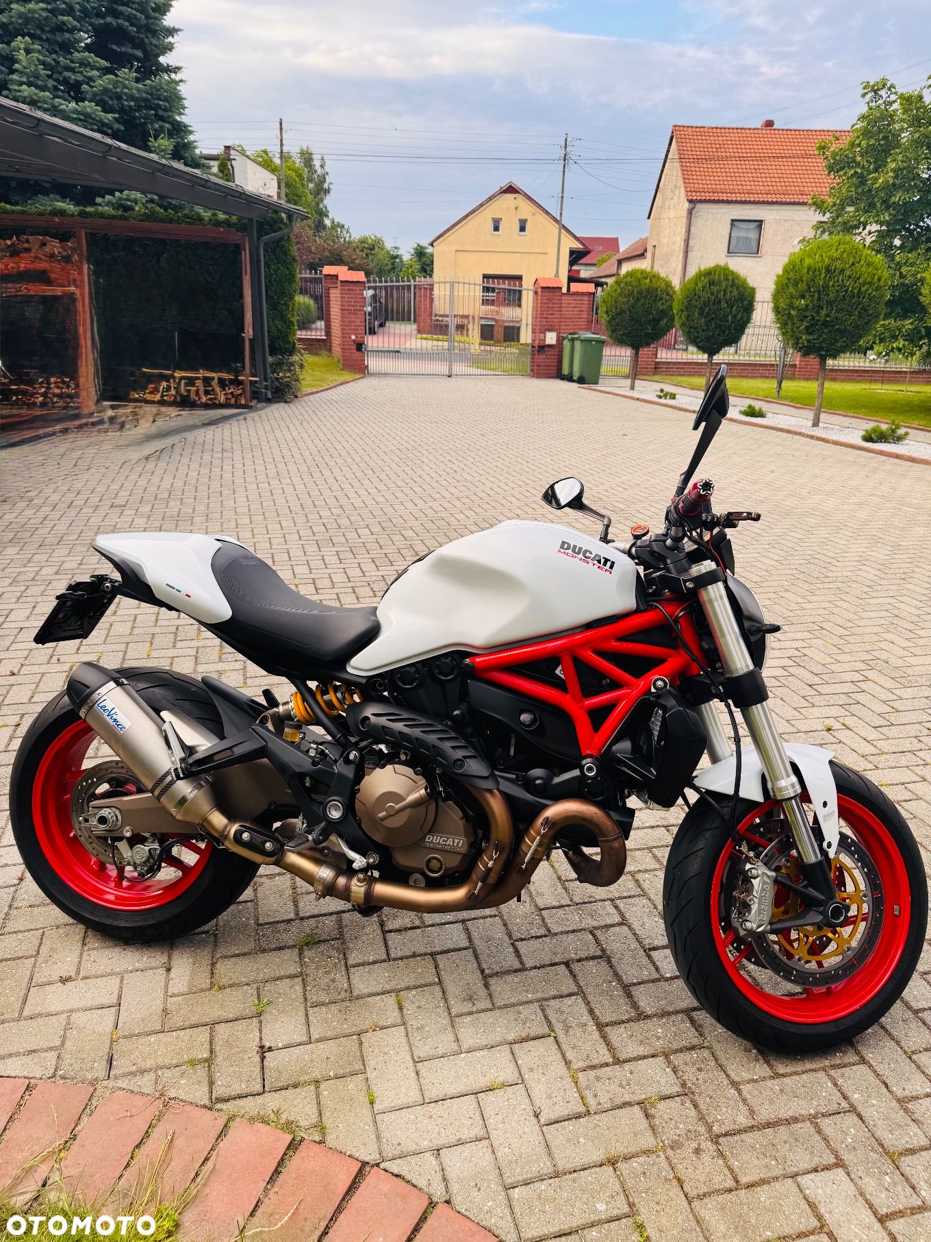 Ducati Monster - 1