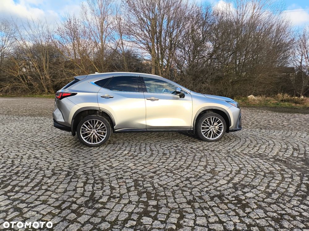 Lexus NX - 16
