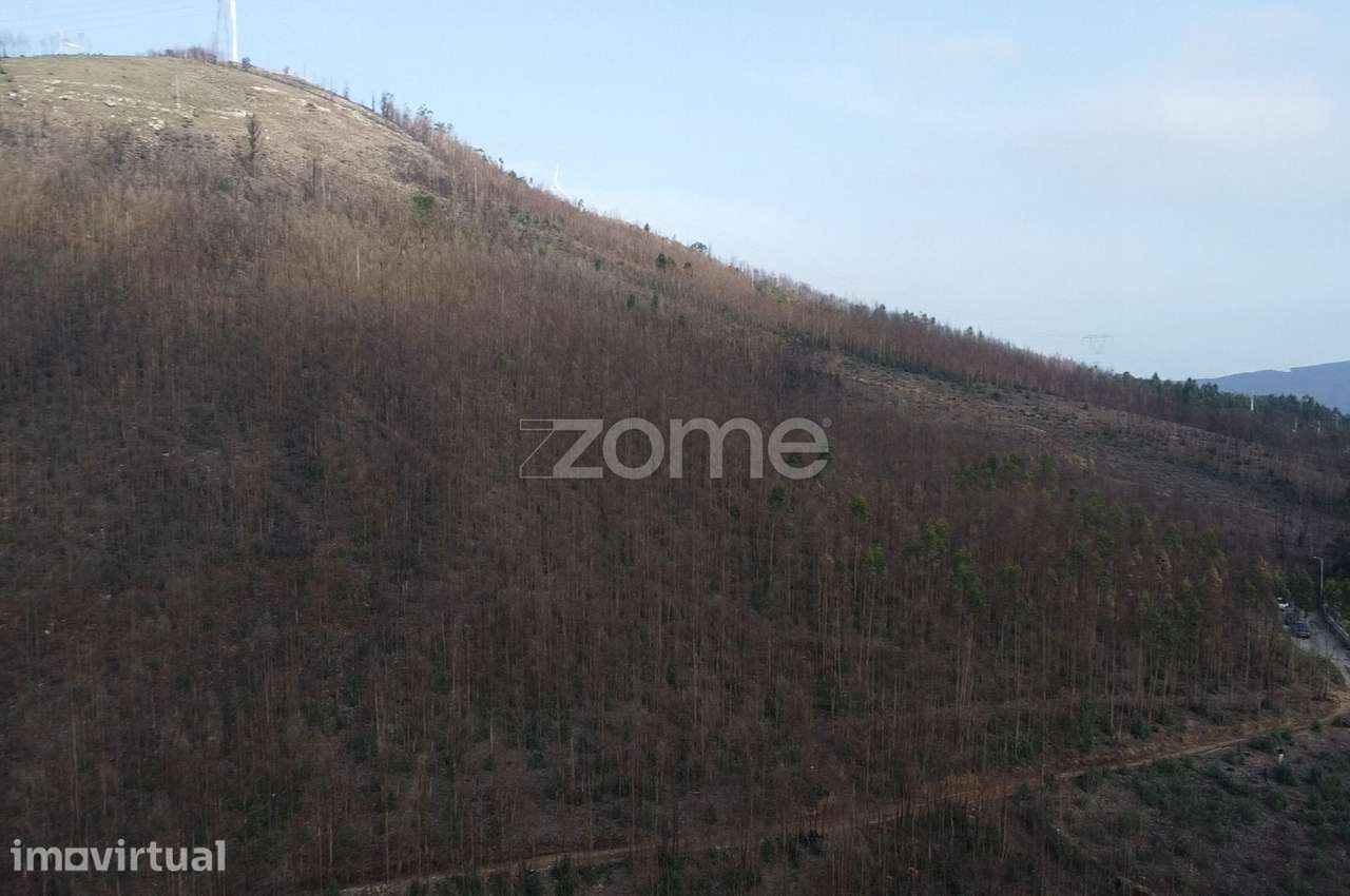 Terreno florestal urbanizável com 42.000 m2 - Rio Mau, Penafiel - Grande imagem: 5/12
