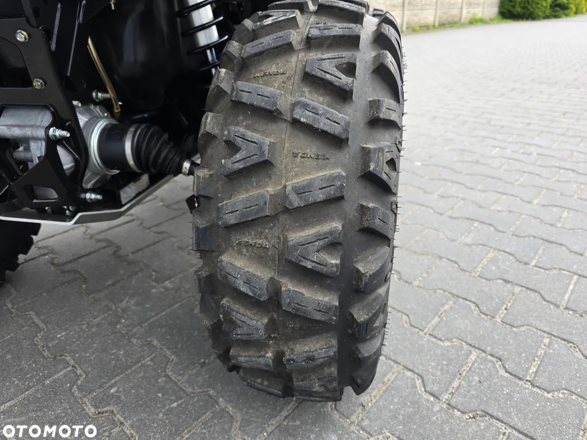Can-Am Renegade