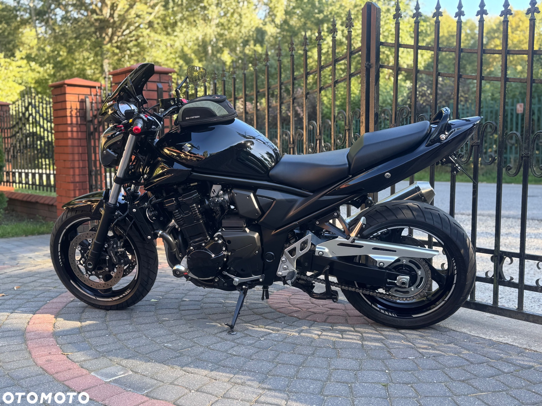 Suzuki Bandit - 7
