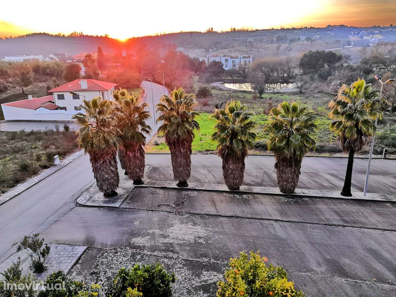 Terreno com PIP em Aprovação | Santa Comba Dão - Grande imagem: 5/15