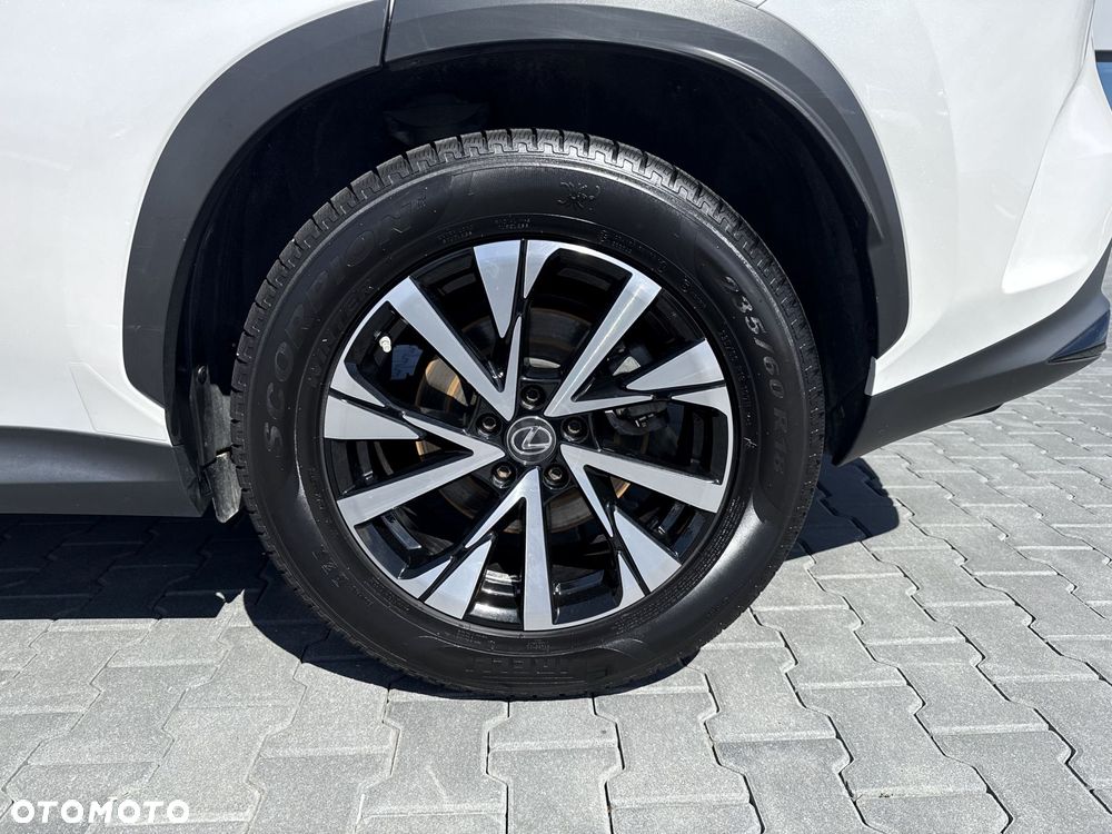 Lexus NX - 19