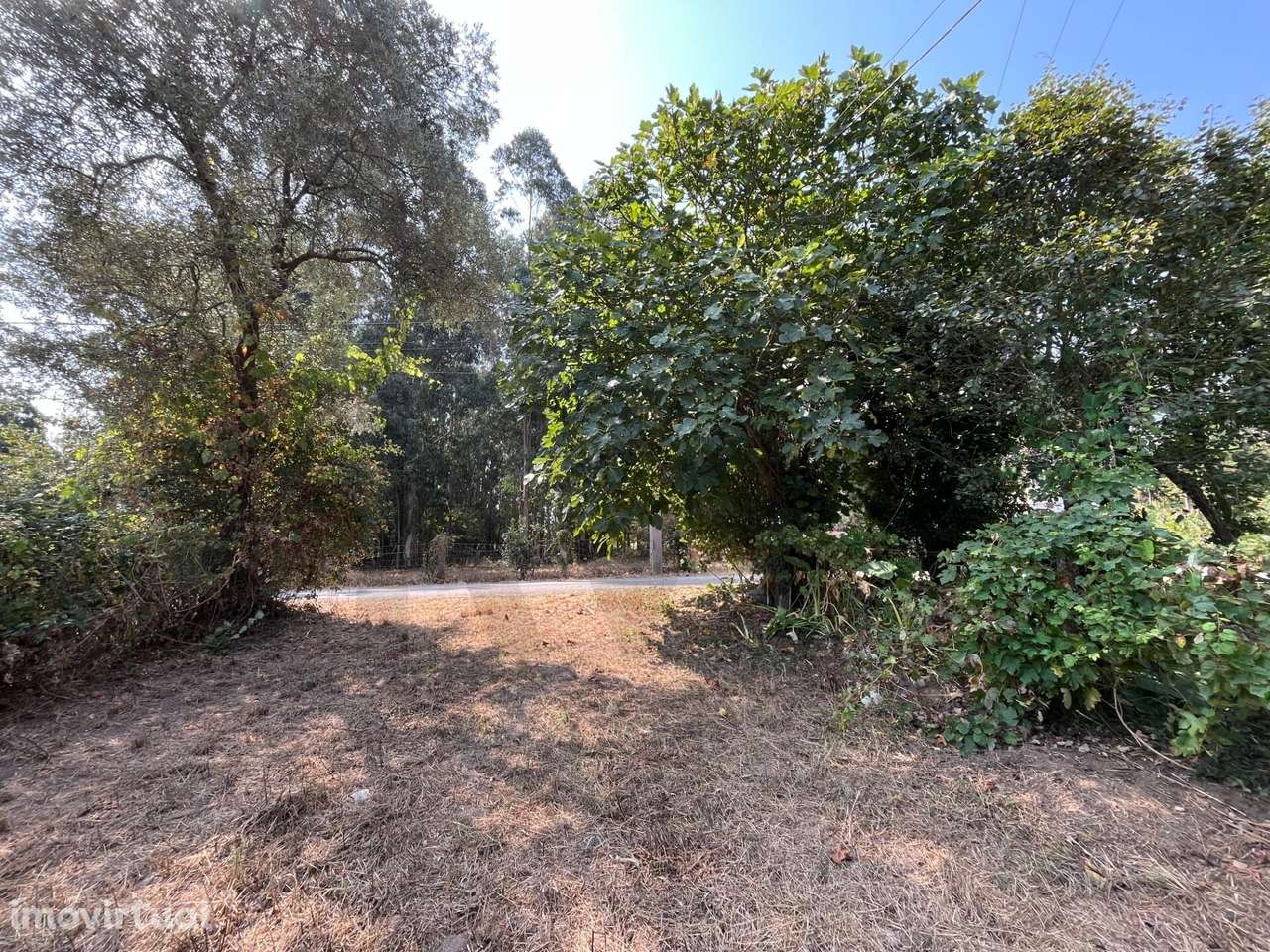 Terreno para construção de moradia unifamiliar em Cacia - Grande imagem: 3/7