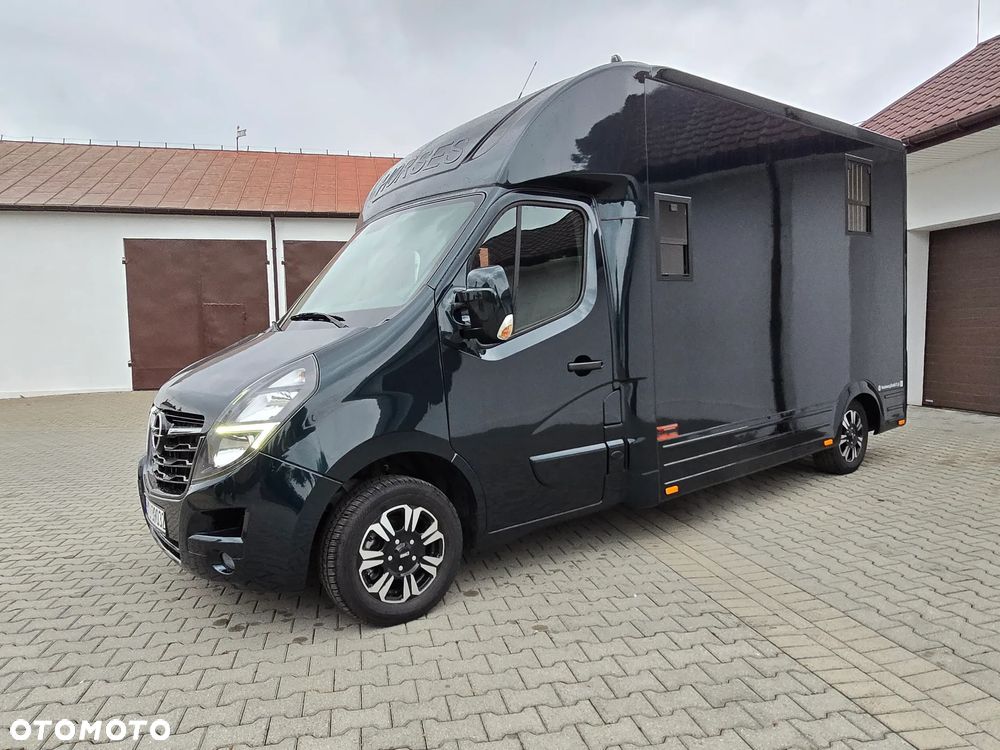 Opel Movano-Koniowóz - 8