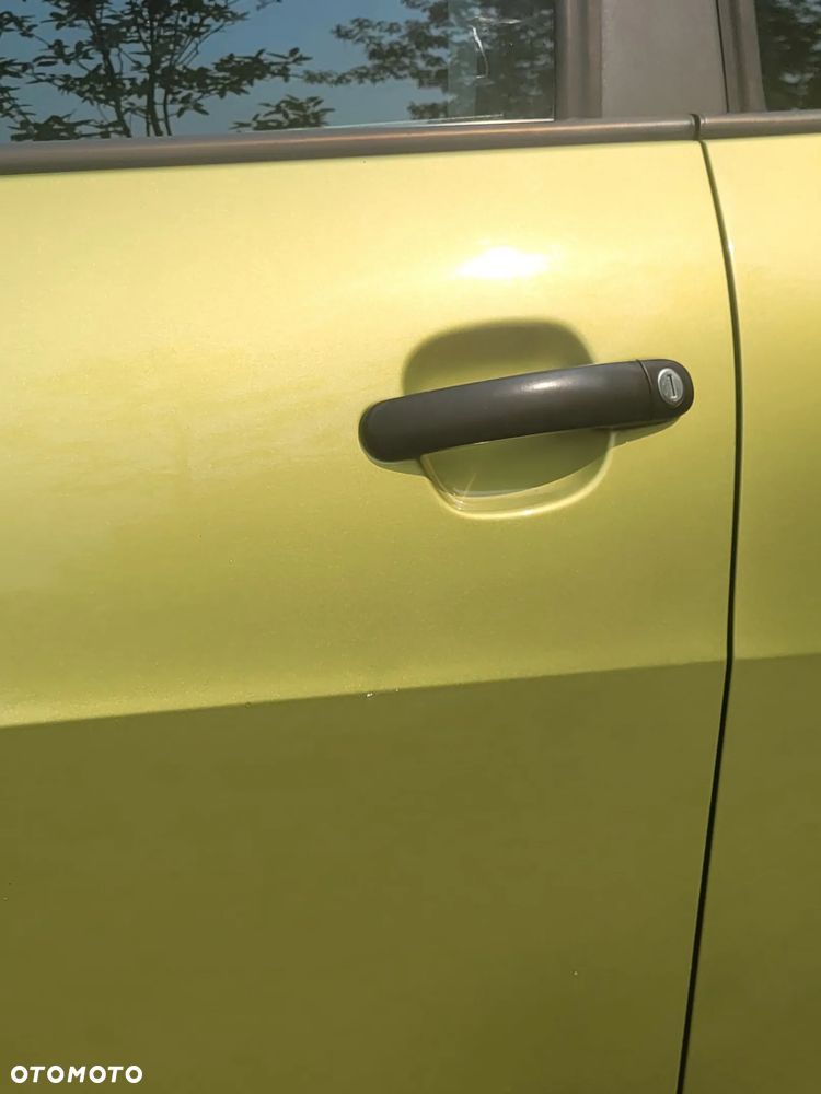 Seat Ibiza - 31