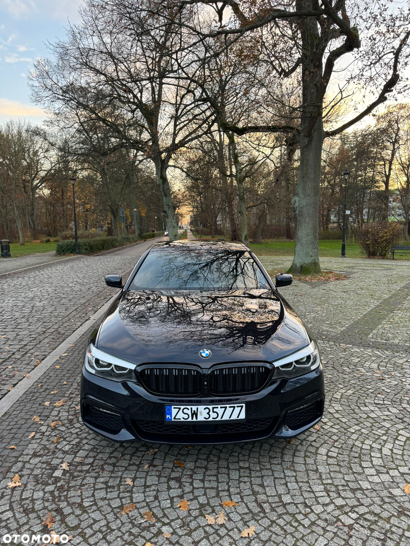BMW Seria 5 520d Efficient Dynamics M Sport sport - 2