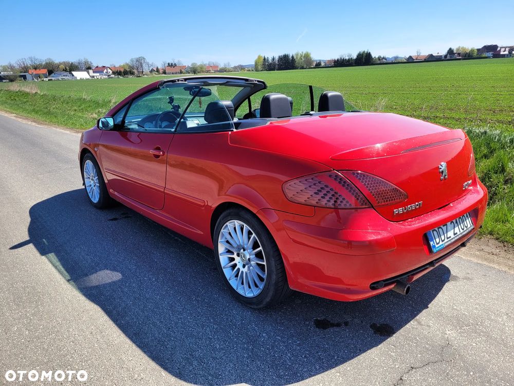 Peugeot 307 CC 2.0 - 6