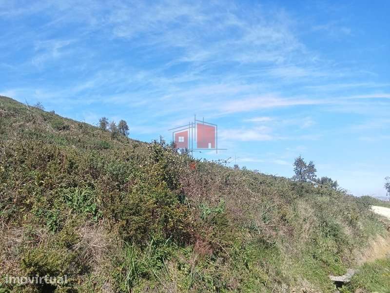 Terreno rustico com 10687m2 denominado por "cabeço de Montemuro" - Grande imagem: 2/2