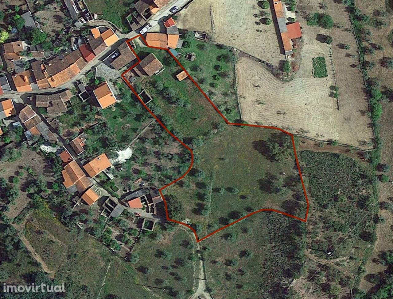 Quintinha com Casas em Xisto - Grande imagem: 4/24