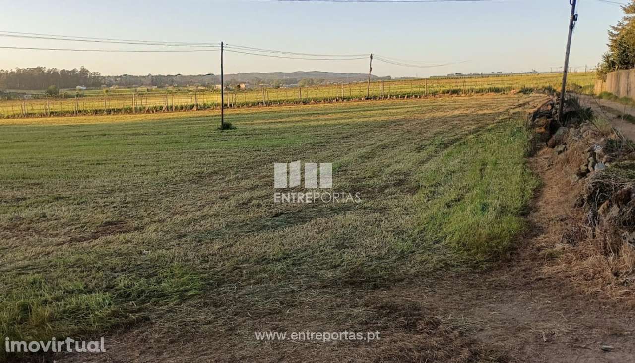 Venda de Terreno com 2600 m2, Arcos, Vila do Conde - Grande imagem: 4/11