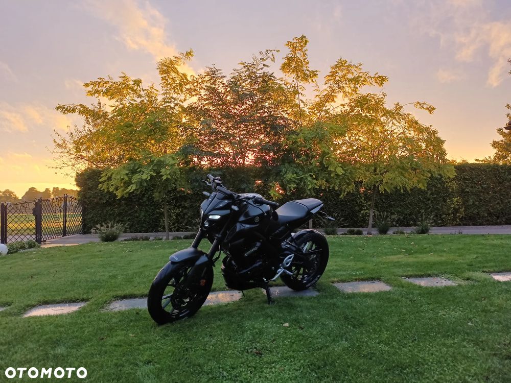Yamaha MT