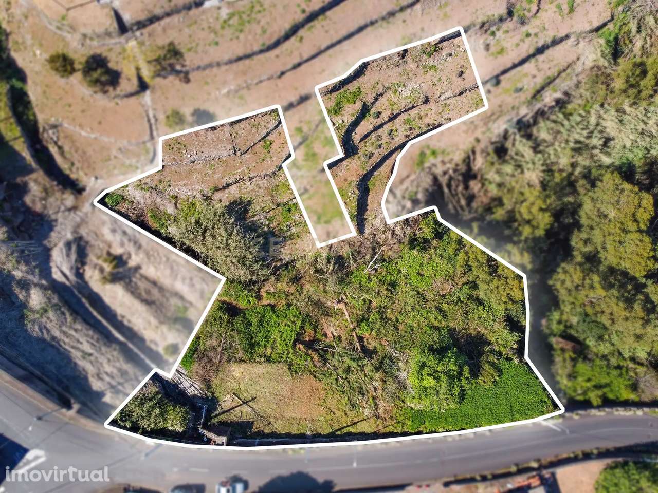 Terreno com Vista Mar e Potencial de Construção em Santa Cruz - Grande imagem: 3/24