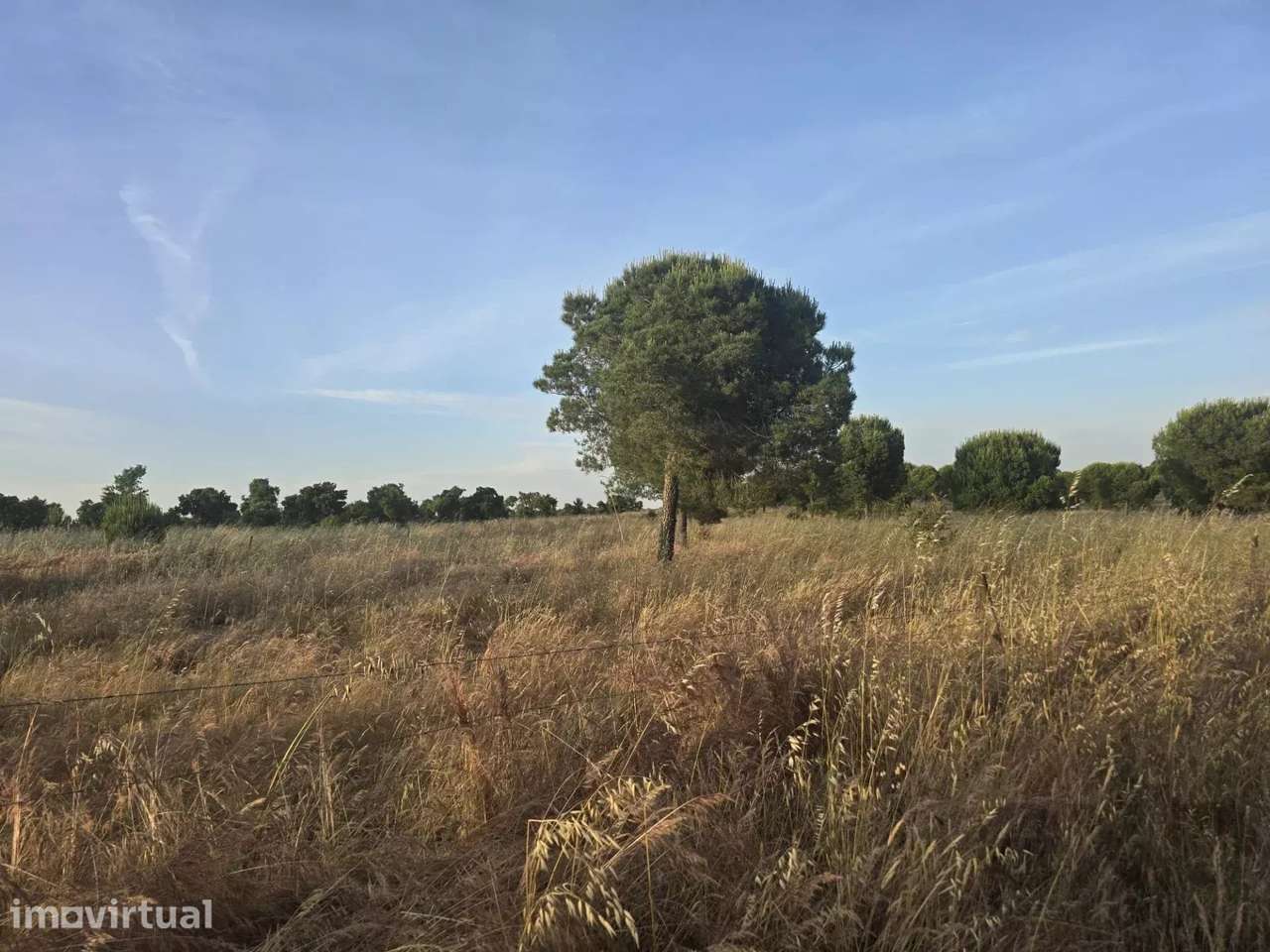 Baixo Alentejo – 55,9 ha de Liberdade e Potencial no Baixo Alentejo - Grande imagem: 2/10