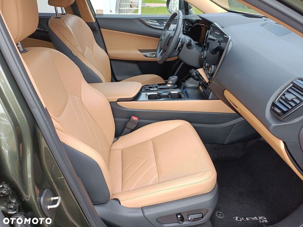 Lexus NX - 12