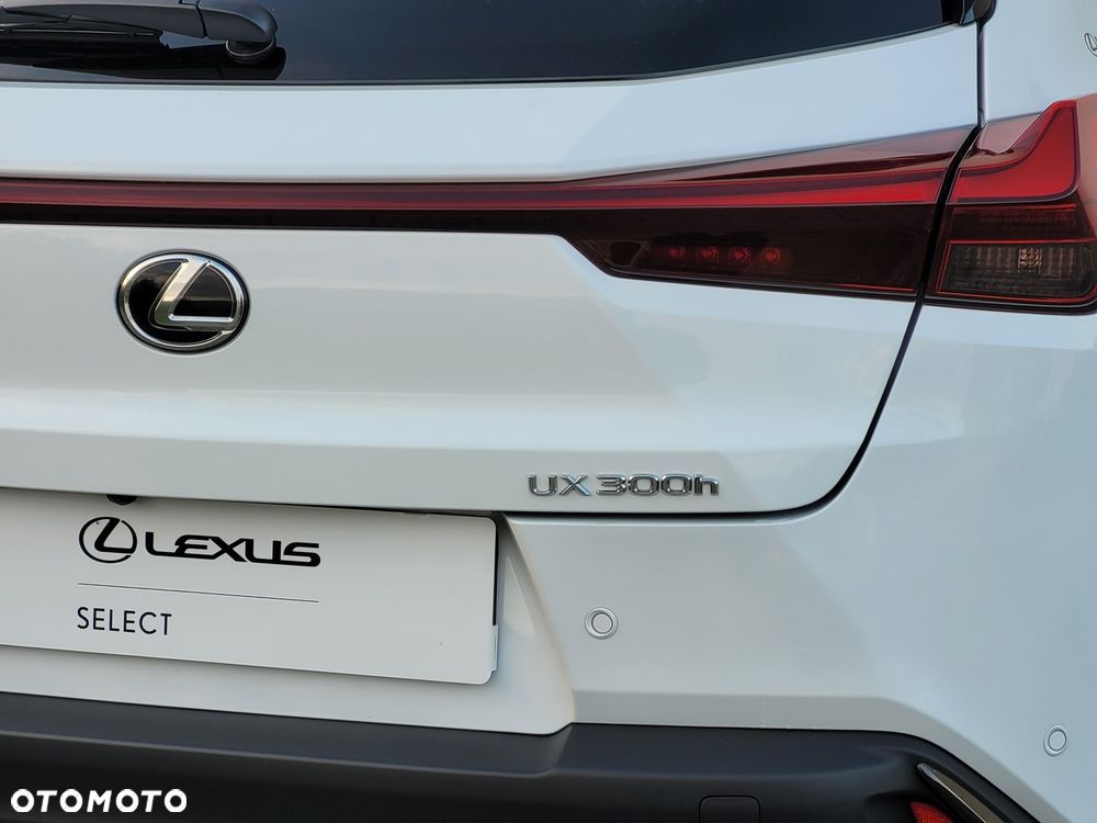 Lexus UX 300h F Sport Design - 12