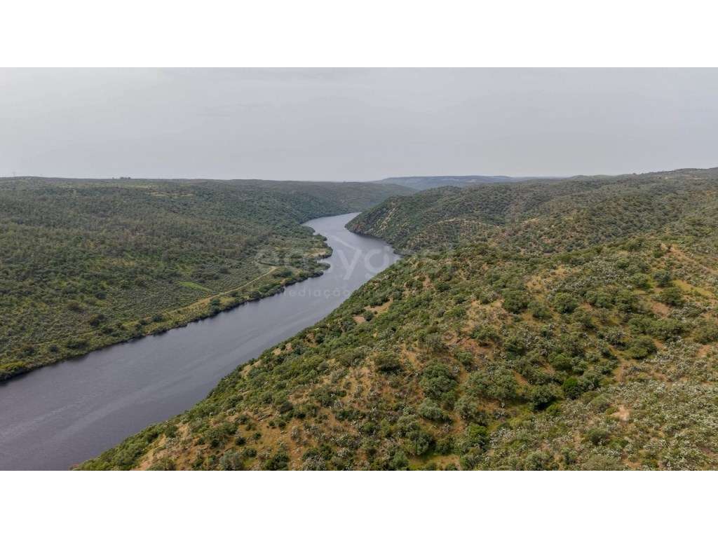 Herdade com acesso direto ao Rio Tejo Parque Natural do Tejo Intern... - Grande imagem: 2/15